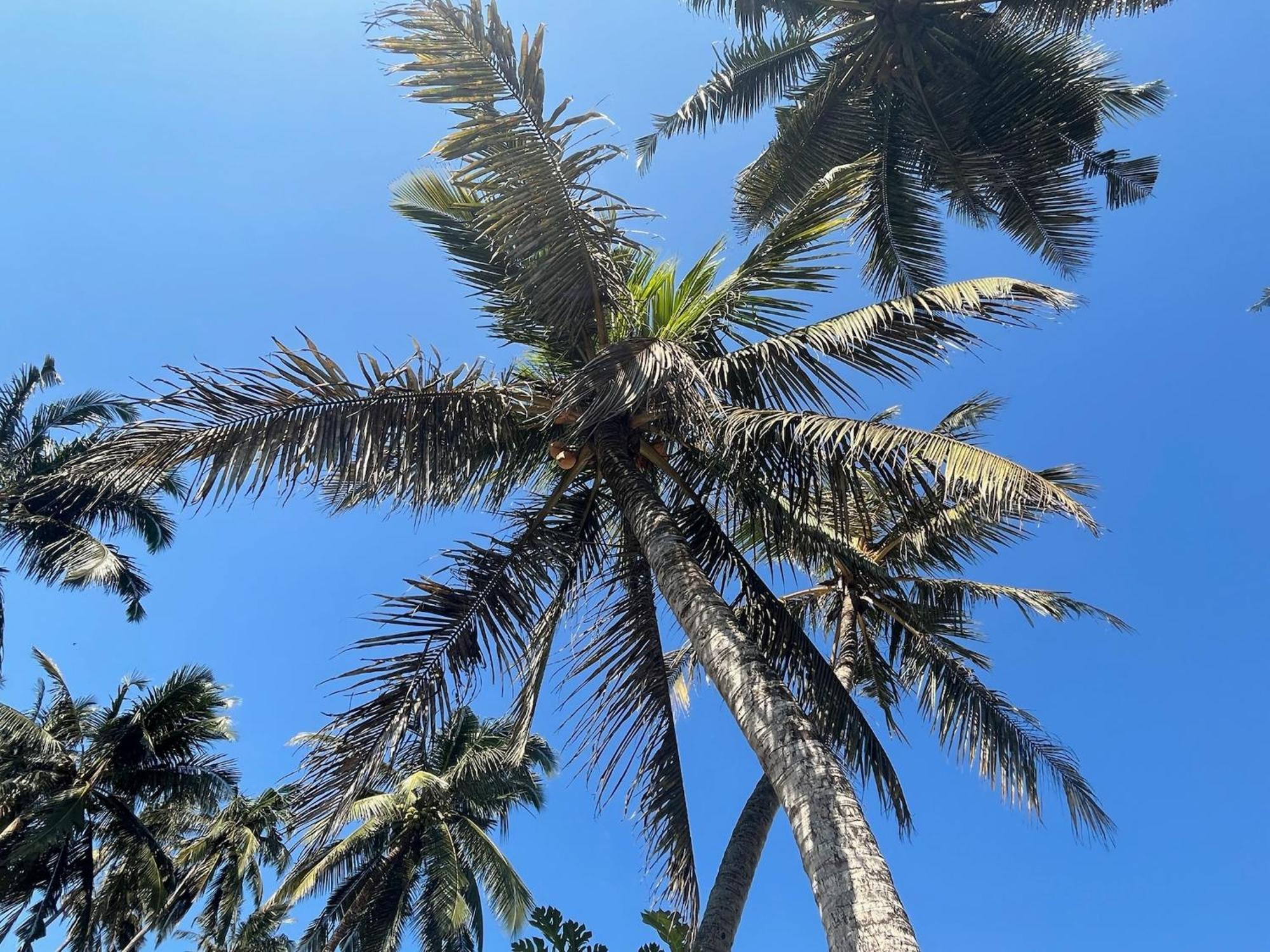 Samudrawasa Luxury Colonial Villa & Beach House Ambalangoda  Esterno foto